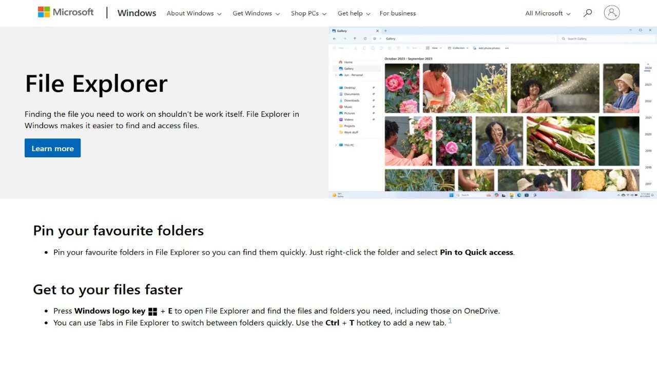 File Explorer