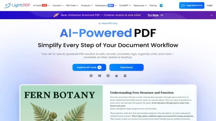 LightPDF