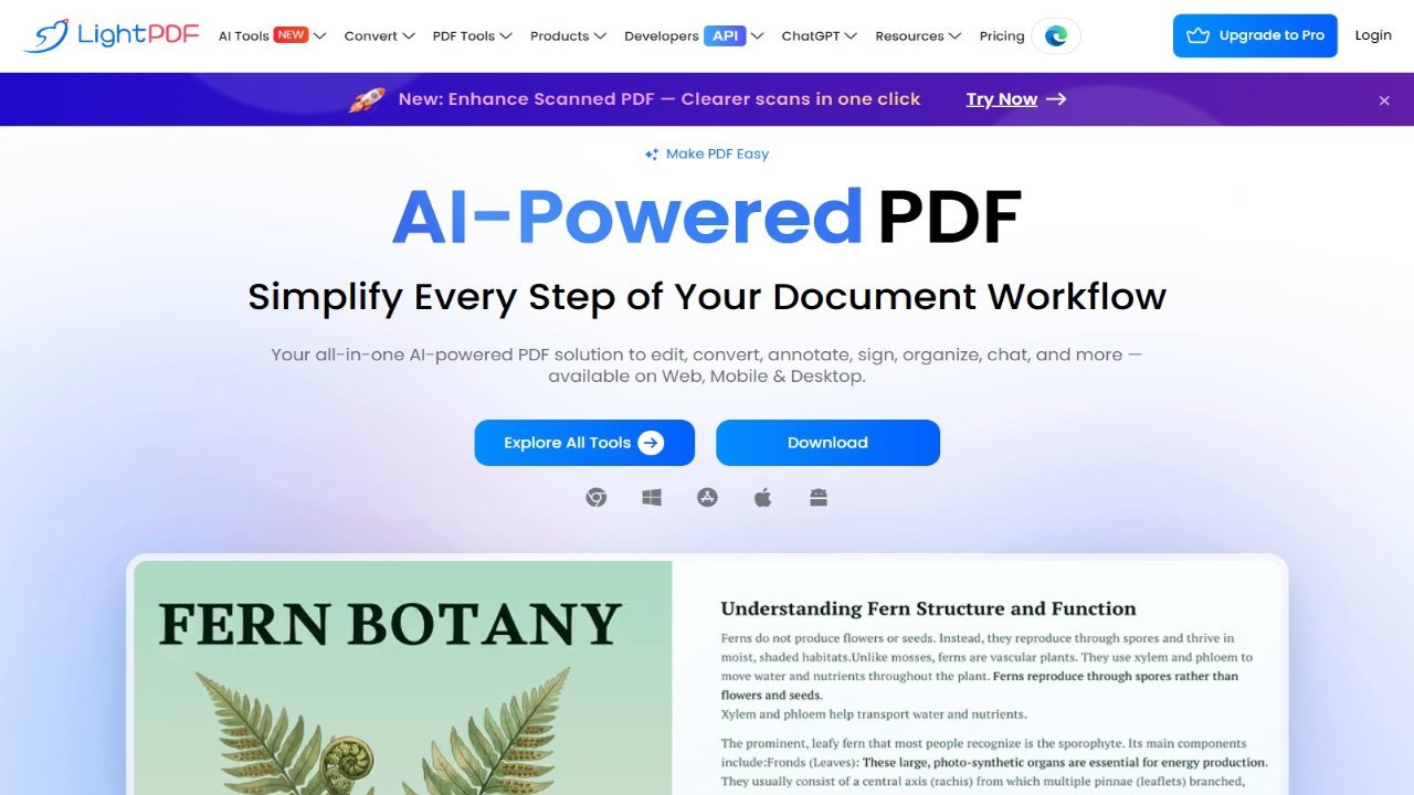 LightPDF