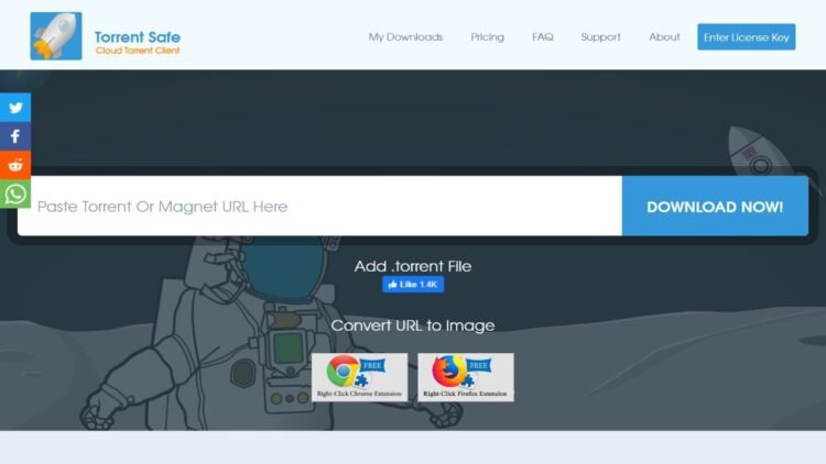 TorrentSafe